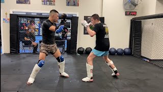 Entertaining MMA Sparring [upl. by Reltuc29]