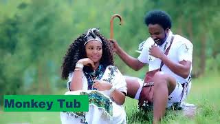 Sekota music Amharic Music Ethiopie [upl. by Greff]