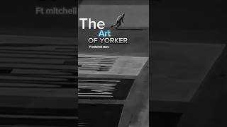 The art of yorkerMitchell starc cricket yorkers viralvideo bowledawicket mitchellstarc wicket [upl. by Eran]