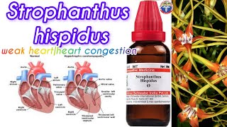 strophanthus homeopathic medicineStrophanthus hispiduskombe seed weak heartheart congestion [upl. by Eynobe]