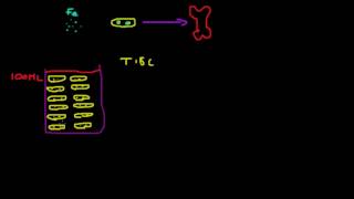 Total Iron Binding Capacity TIBC Explained [upl. by Suoirrad]