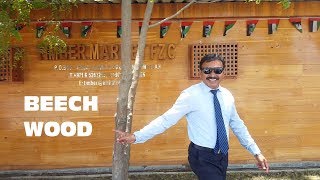 EP03 Beech Wood  TIMBER MARKET video profile  HINDI [upl. by Lenoj]