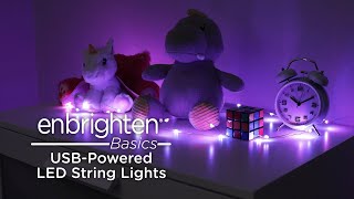 70512 Enbrighten Basics USBPowered LED String Lights  Operation [upl. by Pettiford]