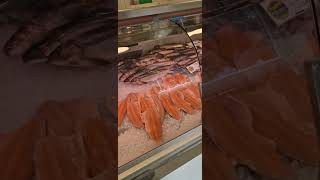 GERMANY 🇩🇪 youtubeshorts nature lakes see fish fisch deutschland [upl. by Netnilc]