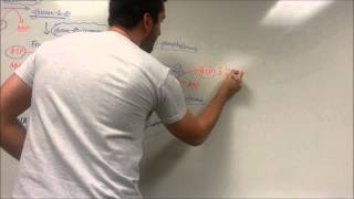 Easy Glycolysis Pathway [upl. by Rabi]