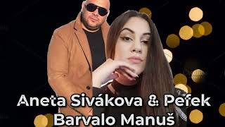 Pefek amp Aneta Siváková 2023 Barvalo manuš  Cover Penelope [upl. by Judi505]