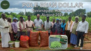 Pole Bean Dollar Davanagere August 2024 [upl. by Treacy]