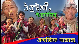 Limbu Yakthung Mundhum PALAM History Culture Theyusa Phago [upl. by Lyontine]