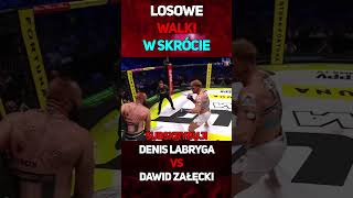 Denis Labryga VS Dawid Załęcki  W Skrócie shorts labryga dawidzałęcki famemma walka [upl. by Joed]