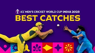 All the best catches from Cricket World Cup 2023 😱 [upl. by Lindholm172]