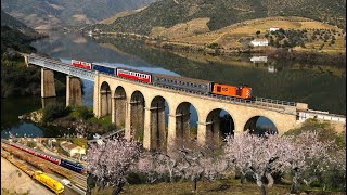 Comboios no Douro na estação das amendoeiras em flor 🌸 Freixo de NumãoMós do Douro  Pocinho 🚂🇵🇹🍇 [upl. by Gow]