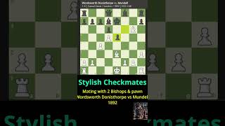 Stylish Checkmates Wordsworth Donisthorpe vs Mundell 1892  Stylish checkmate with pawn and bis [upl. by Gervase]