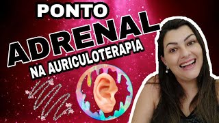 👂 Auriculoterapia Pontos  Adrenal  Entendendo Auriculoterapia [upl. by Trenton522]