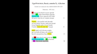 Ugo Foscolo quotA Zacintoquot 1803 quotPoesiequot sonetto IX  lettura parafrasi e commento della poesia [upl. by Mavra]