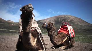 Wandern auf den Kanaren Lanzarote [upl. by Aihsia]