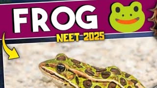 FROG ncert line by line explanation biology neet2025 shortnote PART 1  anneetbiology [upl. by Ernaldus]