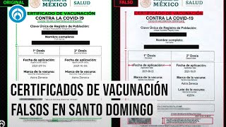 Así se ve un certificado COVID FALSO de Santo Domingo [upl. by Casimire451]