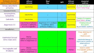 Hormonal amp Autacoid control of Renal Circulation Chapter 27 part 5 Guyton and Hall Physiology [upl. by Tomkiel]