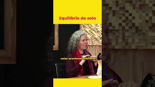 Como equilibrar o jardim de forma sustentável  Maria Fernanda shorts paisagismoejardinagem [upl. by Esened]