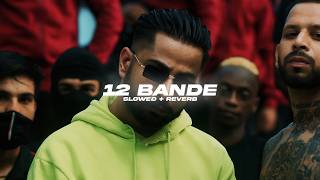 12 Bande Slowed  Reverb  Varinder Brar  BARATO NATION [upl. by Cord]