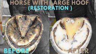 Shire Horse  Hoof Trimming Satisfying Compilation [upl. by Stoat]