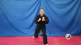 Kempo Karate  Basic Stances  White Belt [upl. by Junie]