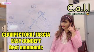 Clavipectoral Fascia BEST MNEMONIC amp EXPLANATION MADE EASY WITH Dr hasana [upl. by Brinn]