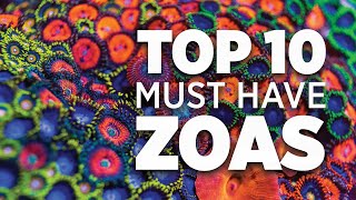 Top 10 Must Have Zoanthids  World Wide Corals [upl. by Elrae770]