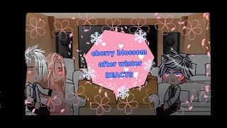 cherry blossom after winter au repost [upl. by Jarvis]