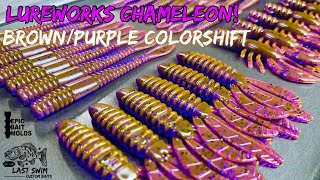 Amazing BrownPurple Colorshift  Lureworks Chameleon [upl. by Nahguav]