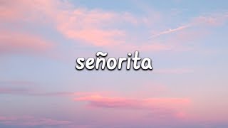 Shawn Mendes Camila Cabello  Señorita Lyrics [upl. by Lash901]