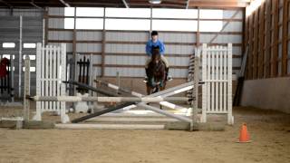 Teaching my Standardbred to Jump and Canter [upl. by Trebloc]