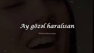 Dağ Başında Quzu VarAhu Kimi Gözü Var Lyrics [upl. by Aruol576]