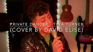 Private Dancer  Tina Turner Cover by David Elise [upl. by Inverson]