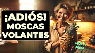 ¡La PIÑA puede ser la clave para eliminar las MIODESOPSIAS 🍍✨  Descubre Cómo [upl. by Ilojne]