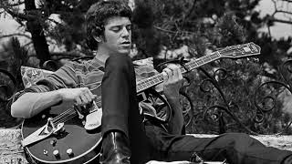 The Roughnecks Lou Reed  YOURE DRIVING ME INSANE 1965 [upl. by Magnum]