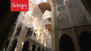 A look inside the restoration of Notre Dame cathedral [upl. by Demb]