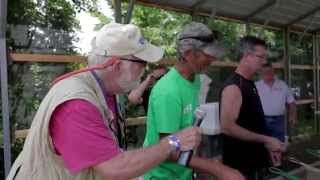 Testical Festival in Olean MO 2015 [upl. by Gauntlett]