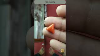 RED CORAL CNo 827968 Wt 4 55 CT 2 [upl. by Hertha]