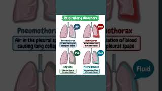 Respiratory Disorders [upl. by Ricarda]