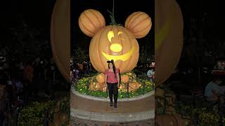 Halloween 🎃 Disney photopass [upl. by Schick]