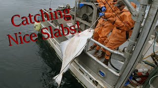 Big Fish on the Line  Alaska Halibut Fishing  Longline Season 2024 [upl. by Runkel646]