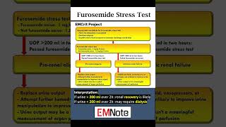 Furosemide Stress Test [upl. by Eelrefinnej]