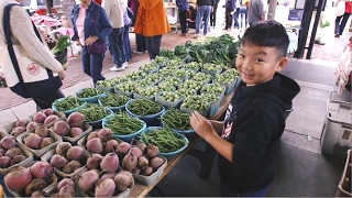 From the Field to the Farmers Market [upl. by Adnir]