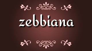 ZEBBIANA Lyrics video skusta clee [upl. by Aihsakal878]