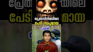 ലൂണിൻ്റെ ശബ്ദം കേട്ടാൽ ആരായാലു പേടിപ്പിക്കും loon bird sound malayalam [upl. by Elyak]