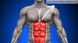 Diástase abdominal e Tratamento [upl. by Haret]