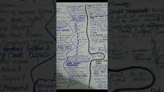 PhysiologyGuytonchp 20NotesEasy t [upl. by Richara]