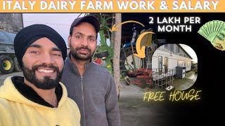 ITALY COUNTRY DAIRY FARM WORK amp SALARY [upl. by Braynard71]