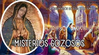 ❤️ Misterios Gozosos ✞ El Señor Nos Ha Mostrado Su Amor y Su Lealtad ✝️ Santo Rosario [upl. by Stannfield]